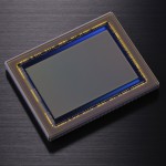 Nikon D800 36MP CMOS Sensor