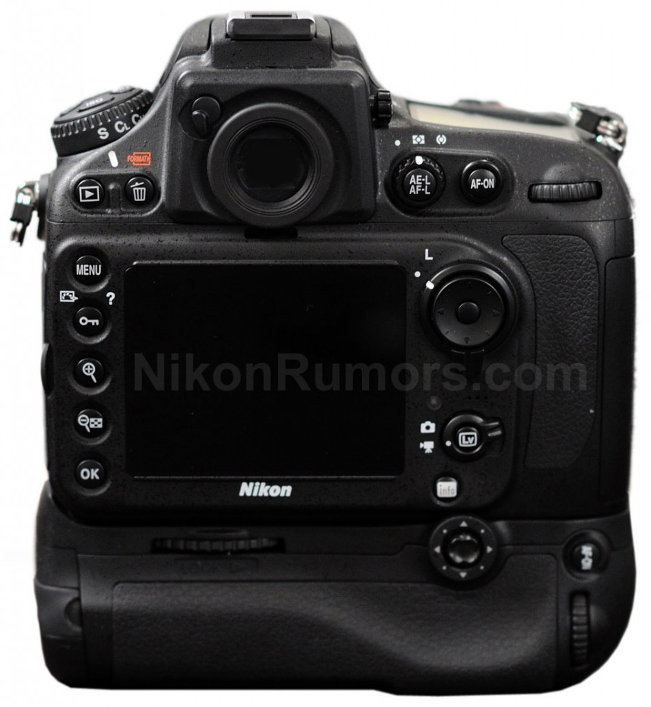 Nikon D800 photo - back of camera