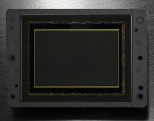 Nikon D810 Sensor